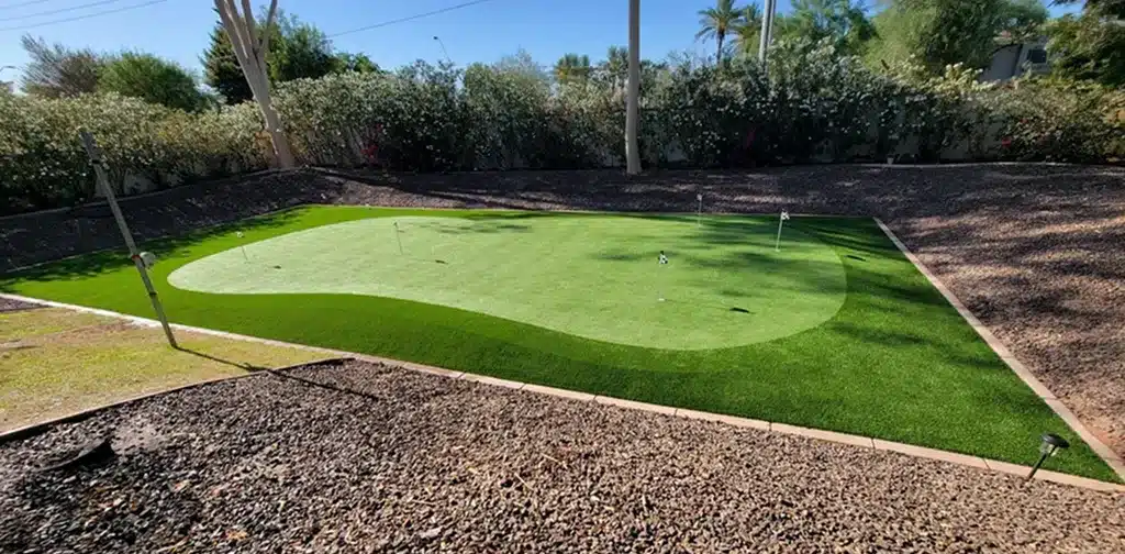 putting green design by desert grass and greens