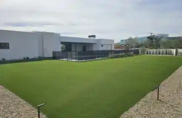 artificial grass at home