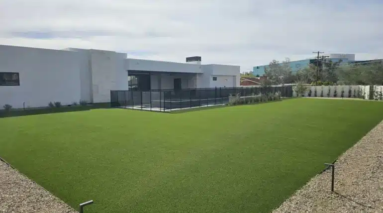 artificial grass at home